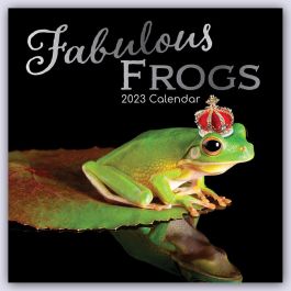 Fabulous Frogs 2023 